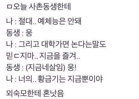 사촌동생한테 조언해줌 | 인스티즈