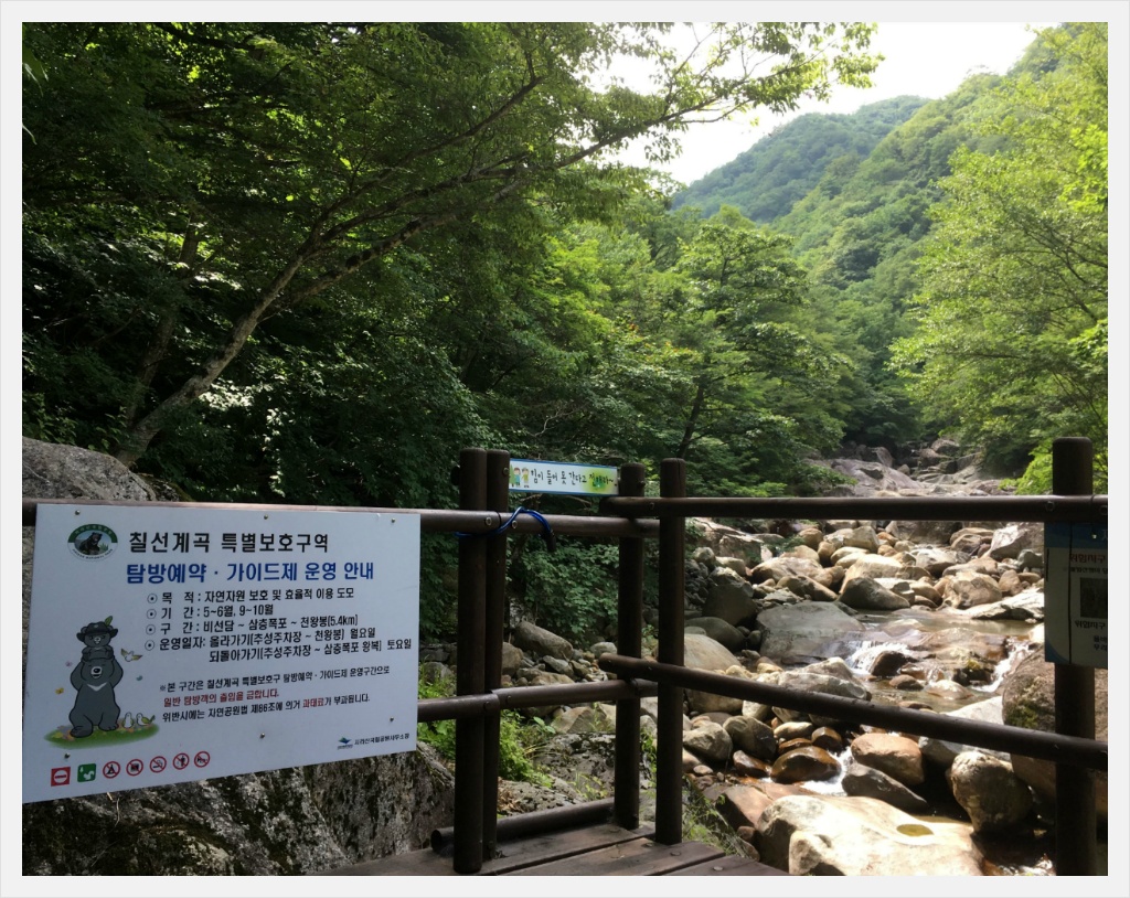다샘 이미지