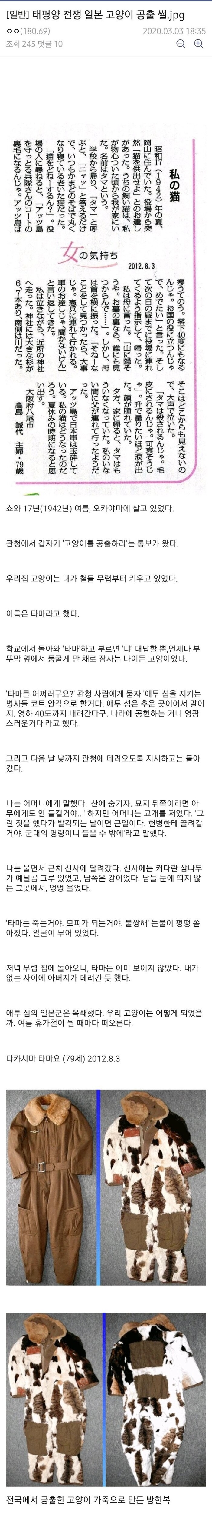 일제시대 고양이 공출 | 인스티즈