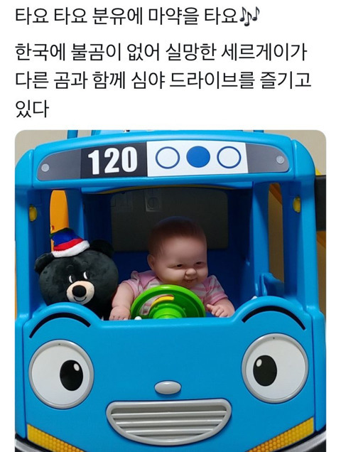 결코 만만하지 않아 보이는 인형.jpg | 인스티즈