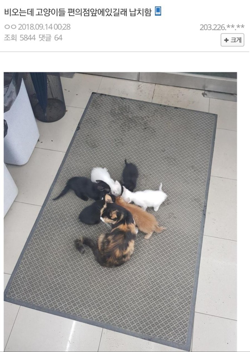 들임 이미지