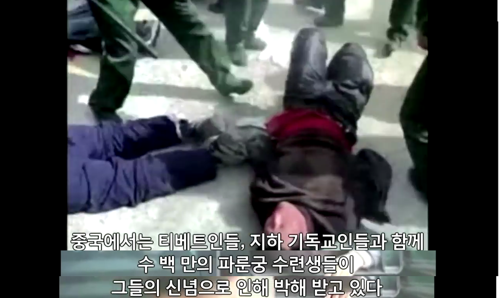 장기를 얻기 위한 살인[KilledforOrgans] | 파룬궁수련인 대상 강제 장기적출 | 인스티즈