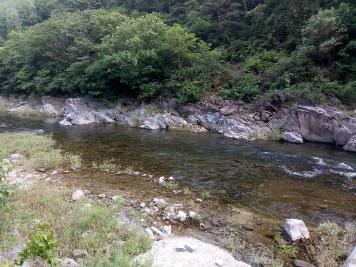 오렌지차박캠핑 이미지