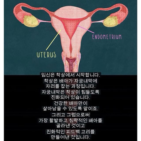 생리는 임신과 출산을 준비하기 위해 하는 것이다 | 인스티즈