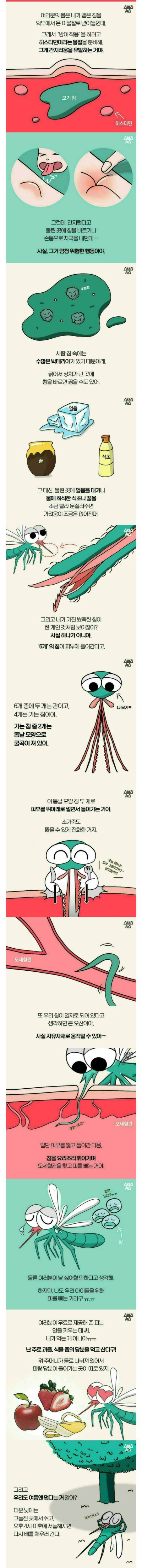 모기에 대한 오해를 푸는 만화 | 인스티즈
