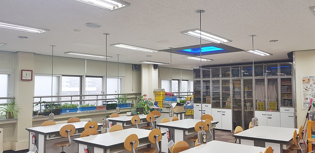 교동초등학교 이미지
