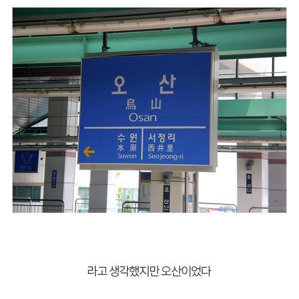 성매매 여성 자활 2,000만원 지급한다는 대구시 | 인스티즈