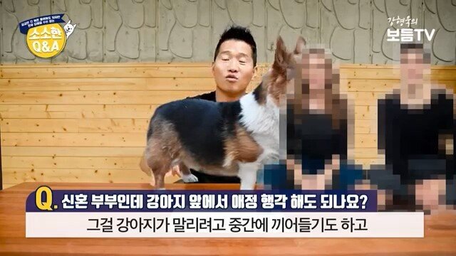 애정행각하려는데 개가 쳐다봐요 | 인스티즈