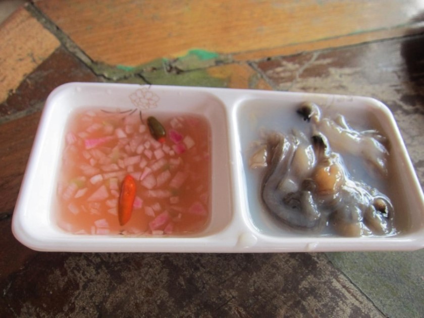 맹그러브 이미지