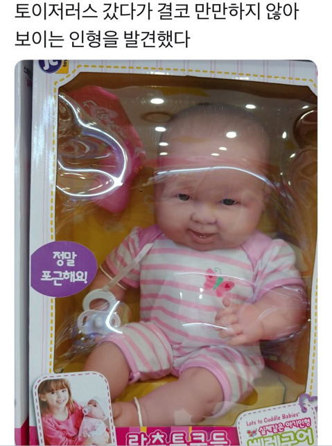 결코 만만하지 않아 보이는 인형.jpg | 인스티즈