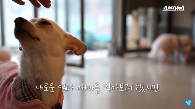  사람들이 홍대에서 인형을 뽑다 우는 이유는? | 인스티즈