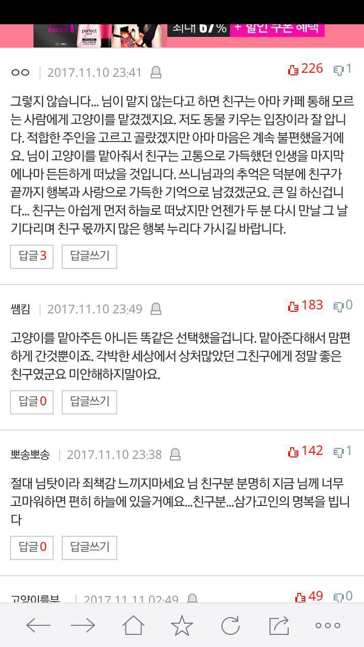 죽은친구가 맡기고 간 고양이 | 인스티즈