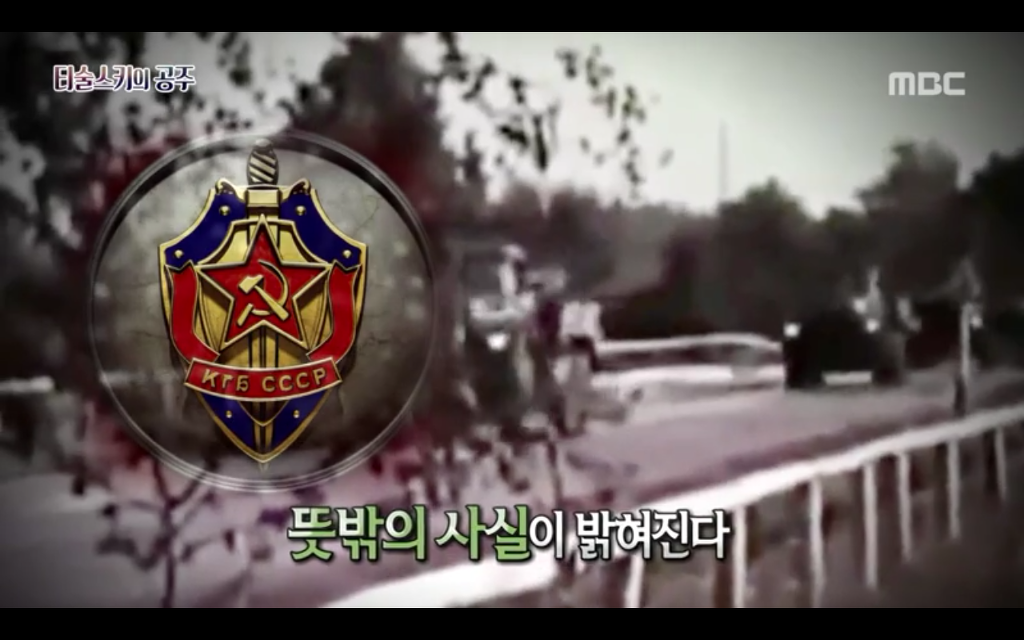 석관 안에서 발견된 8억 년 전의 미라 미스터리, 신비한TV 서프라이즈 '티술스키의 공주' | 인스티즈